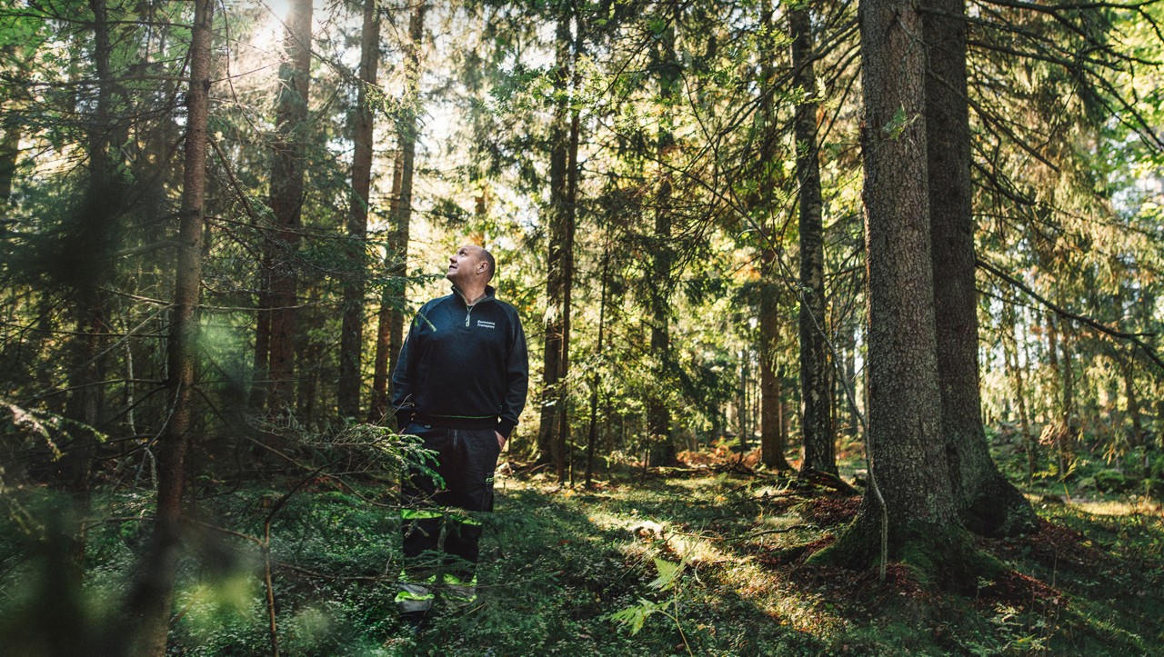 Берт Йоханссон в лесу